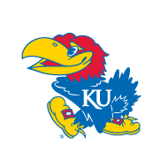 kansas jayhawks basketball