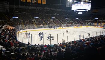 Performances - Milwaukee Admirals