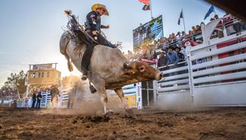 Sisters Rodeo - Saturday Afternoon