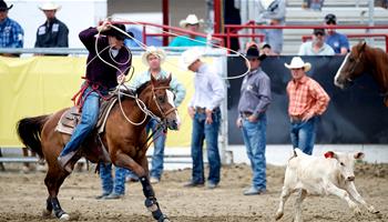 Redding Rodeo - Armed Forces Night