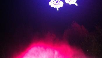 RECEPTION/ Karl's kühne Gassenschau