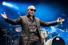 Pitbull