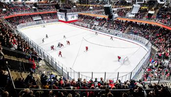 Nuremberg Ice Tigers vs. Straubing Tigers Men's Ice Hockey