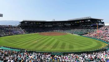 阪神タイガース対中日ドラゴンズ 公式戦 ＪＣＢエキサイトシート