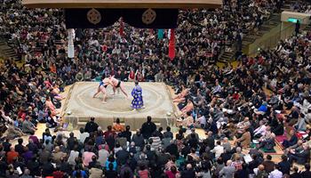 Grand Sumo Tournament May 2025 - Day 11