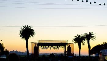 Palm Tree Festival Hawaii