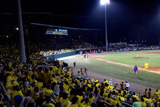 Savannah Party Animals vs Savannah Bananas Atrium Health Ballpark