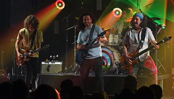 Pigeons Playing Ping Pong