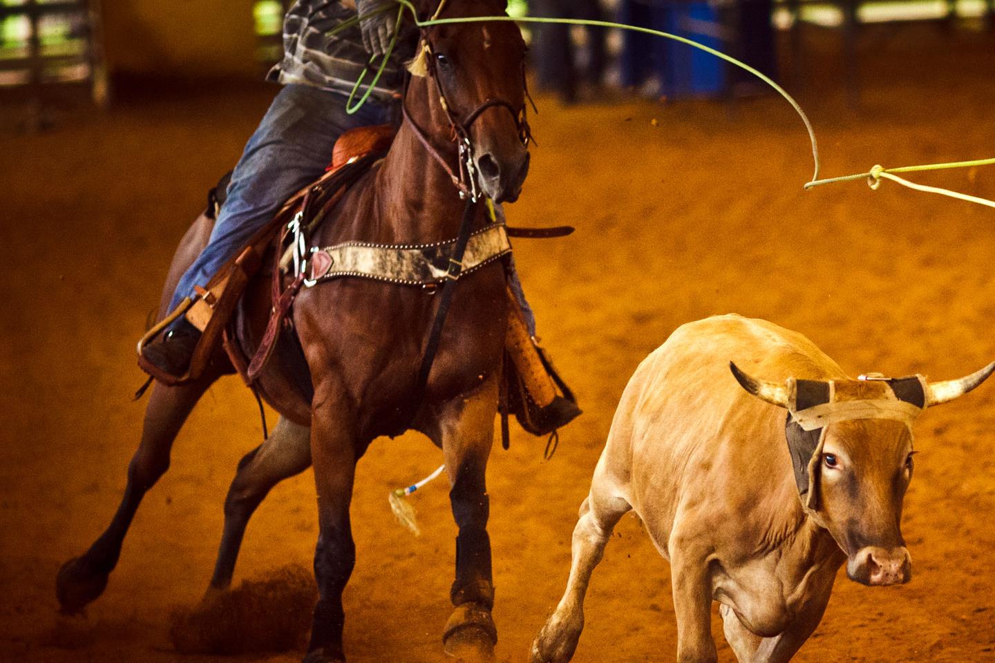 Fort Worth Stock Show and Rodeo Tickets Buy or Sell Fort Worth Stock