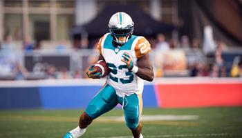 PARKING PASSES ONLY Miami Dolphins at Pittsburgh Steelers