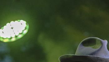 Michael Franti & Spearhead