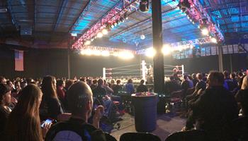 New Japan Pro-Wrestling (NJPW)