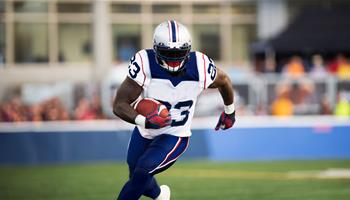 PARKING PASSES ONLY New England Patriots at Baltimore Ravens