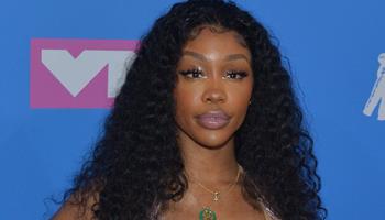 Lollapalooza with SZA Megan Thee Stallion blink 182 and many more 4