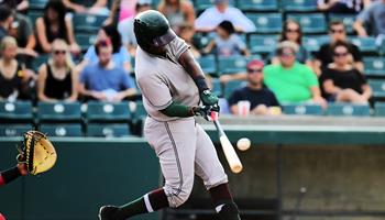 PARKING PASSES ONLY Gary SouthShore Railcats at Chicago Dogs