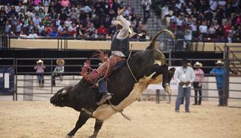 Bill Pickett Invitational Rodeo