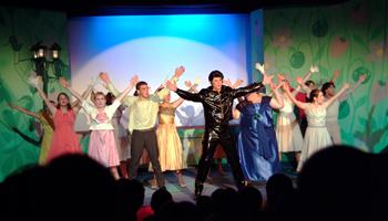 PARKING PASSES ONLY Bye Bye Birdie