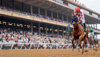 PARKING PASSES ONLY Del Mar Thoroughbred Racing