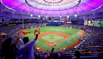 Rays Ticket Information  Tampa Bay Rays