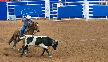 2025 Rodeo Austin - Rodeo Austin Carnival - Saturday, March 15th