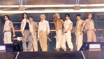 PARKING PASSES ONLY Stray Kids