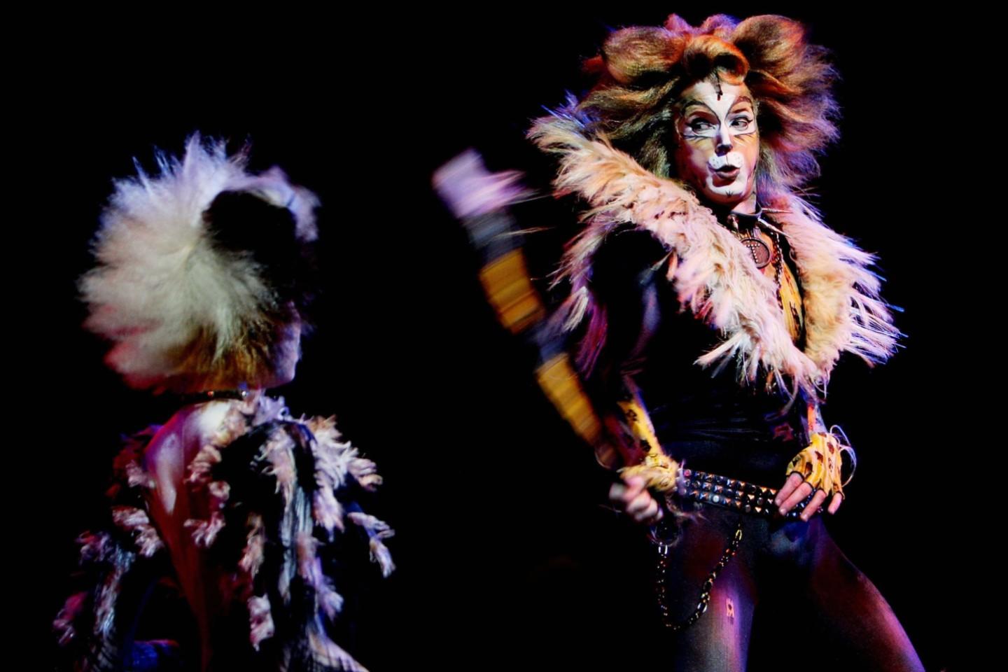Cats The Musical Tickets Buy and Sell Tickets for Cats The Musical