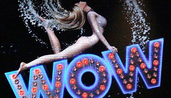 PARKING PASSES ONLY WOW – The Vegas Spectacular