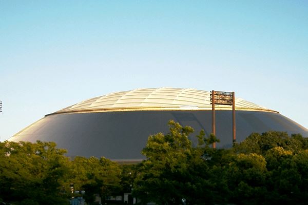 MetLife Dome (Seibu Dome)