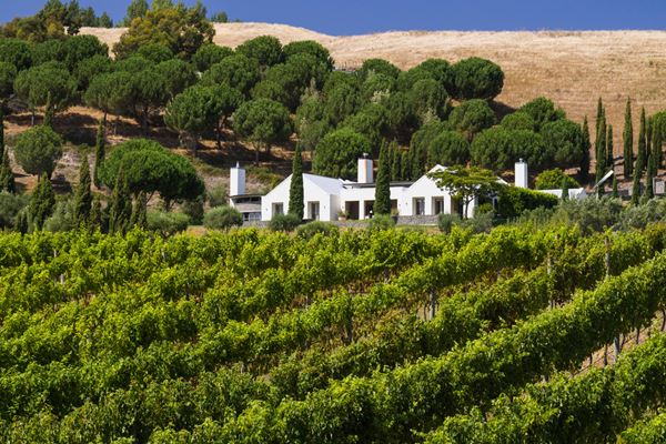 Black Barn Vineyards