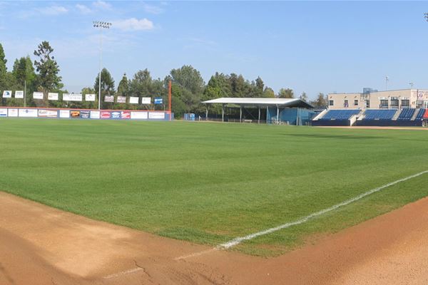 Goodwin Field