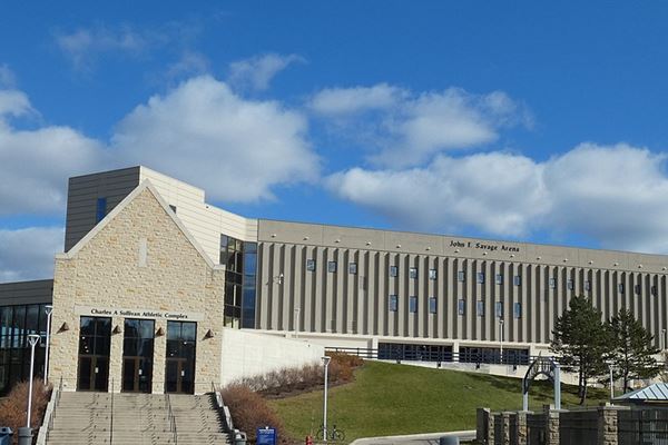 Savage Arena