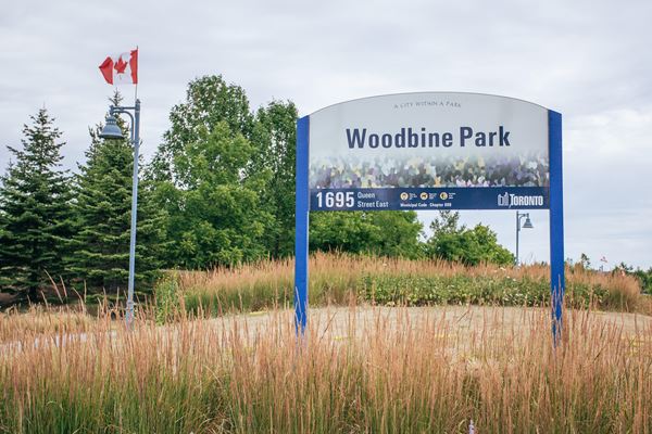Woodbine Park
